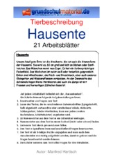 Hausente.pdf